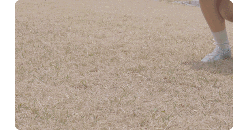 cd6cac949511243729fcf0a70fa05389_1748232677_2193.gif